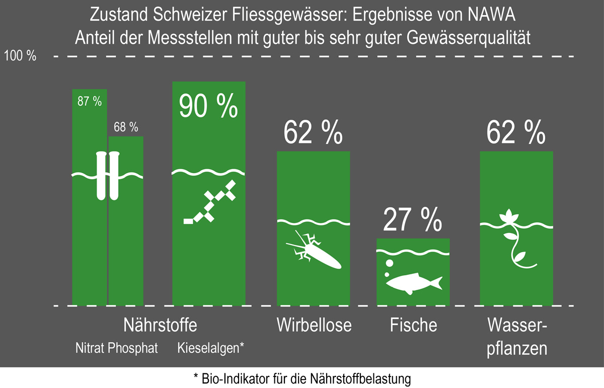 Die Ergebnisse der ersten Gesamterhebung über den ökologischen Zustand der Oberflächengewässer in der Schweiz NAWA 2011 bis 2014.