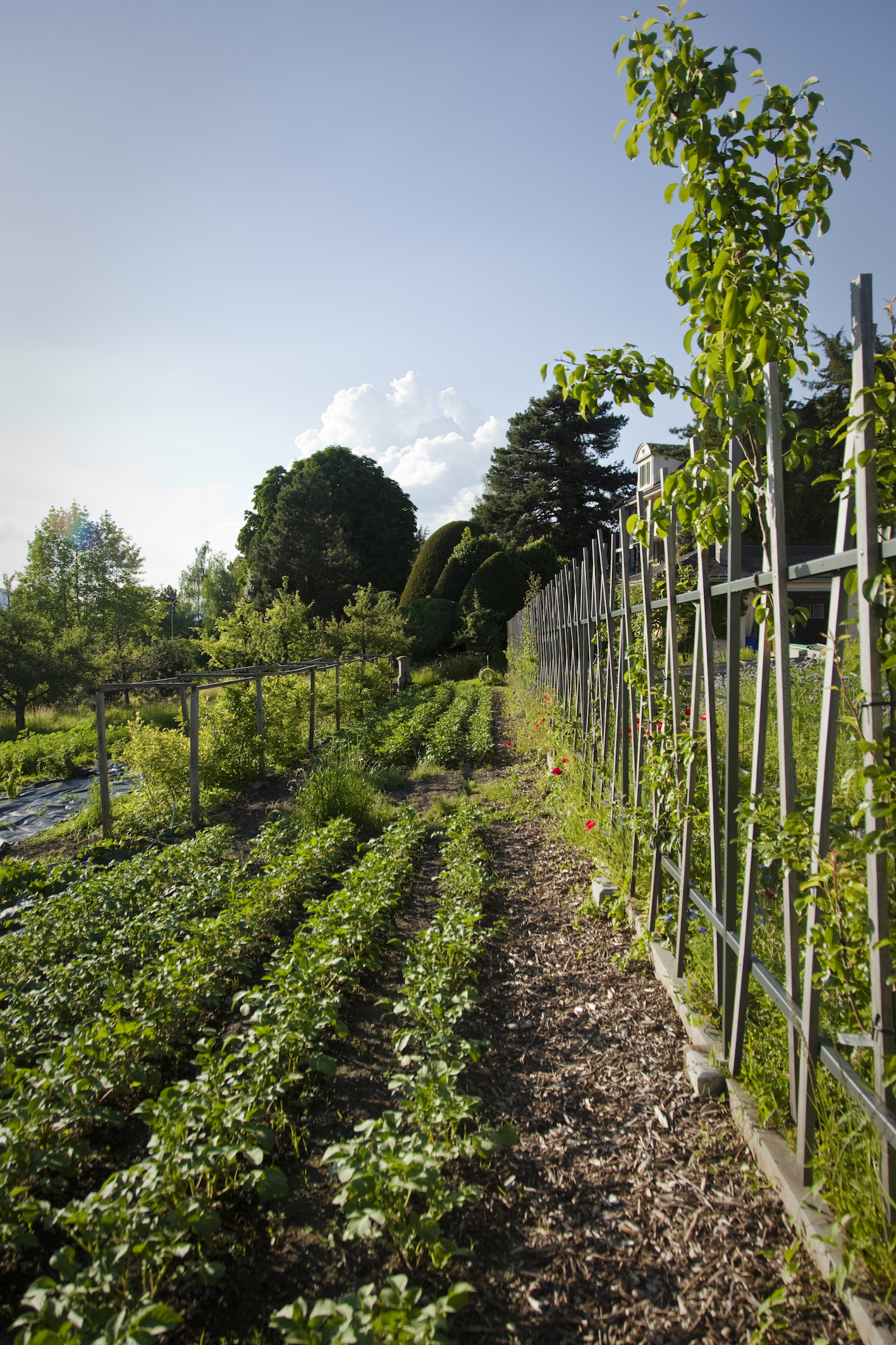 Die Sockel des neuen Spaliers stammen von einem barocken, während den Umgebungsarbeiten entdeckten Spalier.