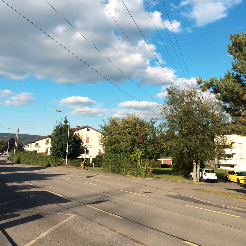 220-kV-Freileitung über dem Siedlungsgebiet in Riniken; die bestehende Trasse wird grossräumig verlegt und auf einem kurzen Abschnitt in den Boden gelegt. In niedrigeren Spannungsbereichen ist die Erdverkabelung bereits mehrfach ausgeführt worden.