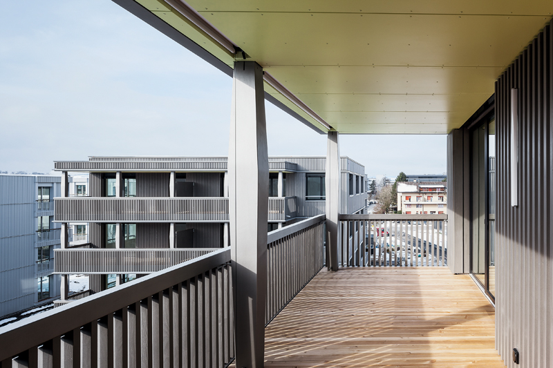 Gelbe Decken-Flächen geben dem einfallenden Licht eine warme Tönung.