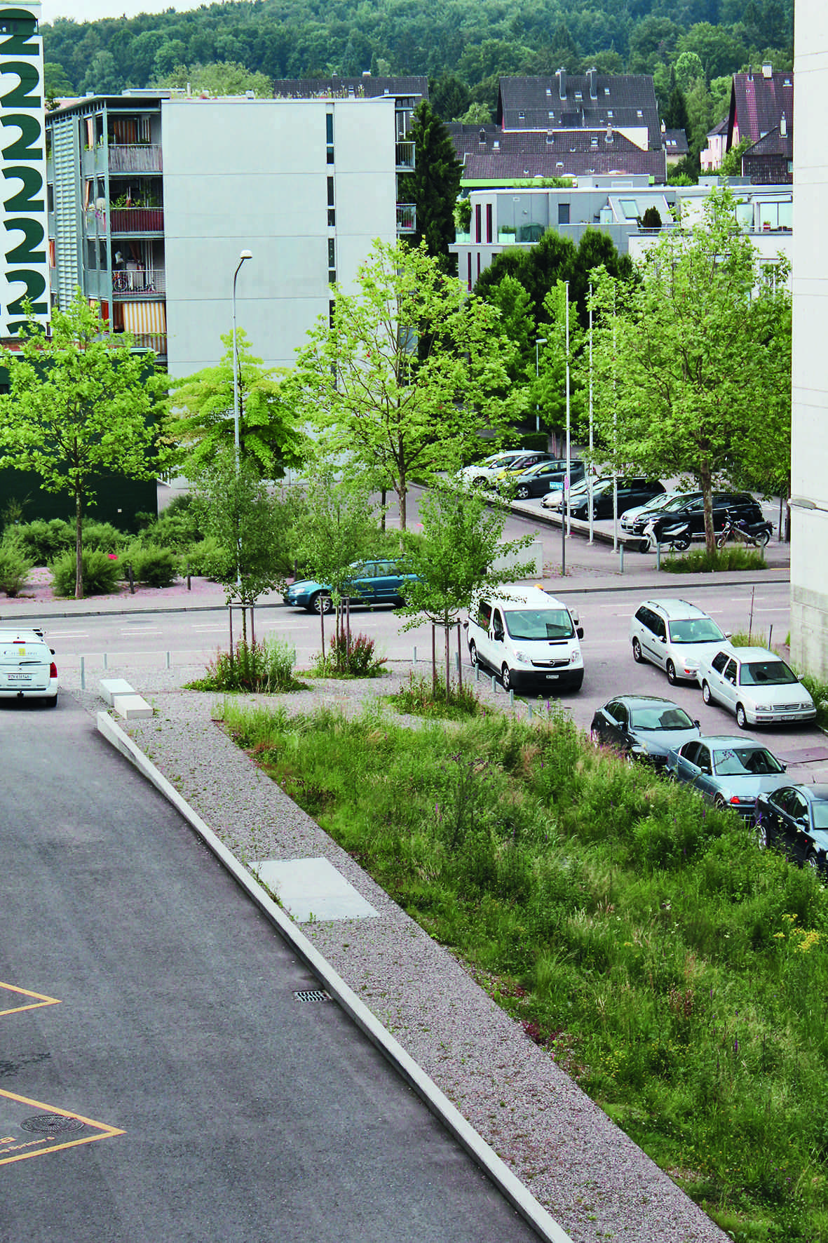 Parte preservata della campagna zurighese dello Stierenried