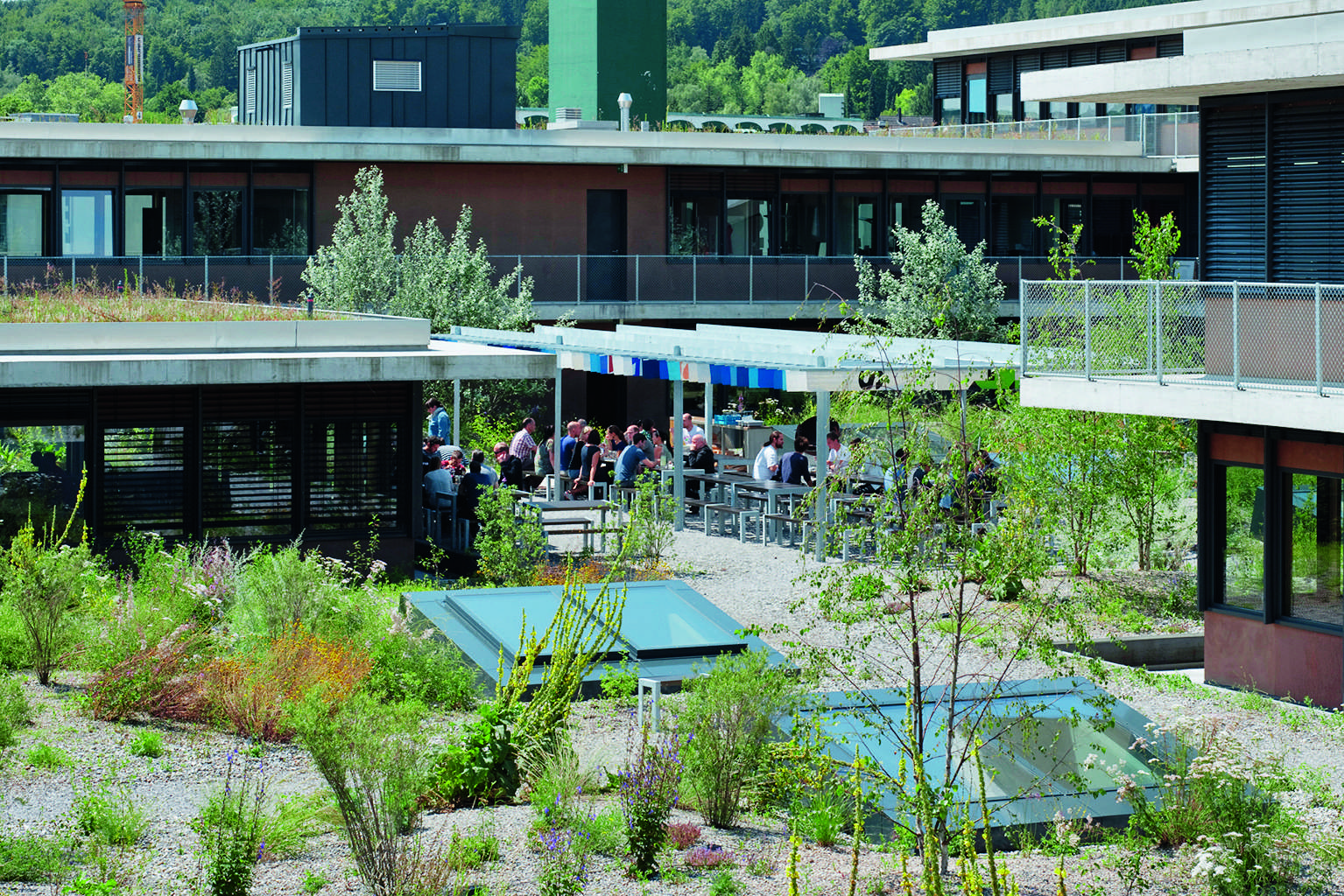 Giardino sul tetto al 1° piano