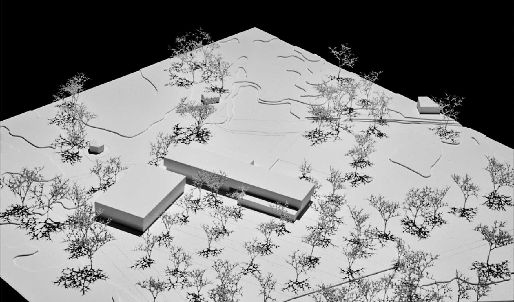 «Sweet Spot» schlägt zwei rechtwinklig zueinander angeordnete, zweigeschossige, etwas blasse Baukörper vor.