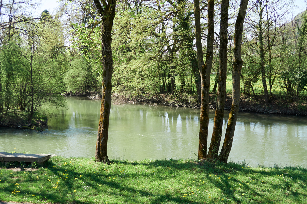 Auenschutzpark-Insel /Stroppelinsel, Limmat, Aare / AG Auenschutzpark-Insel /Stroppelinsel, Limmat, Aare / AG