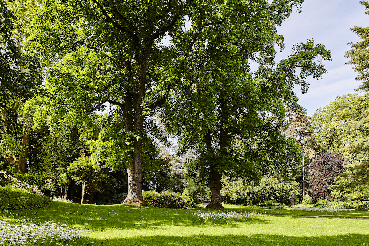 Der Iselin-Weber-Park