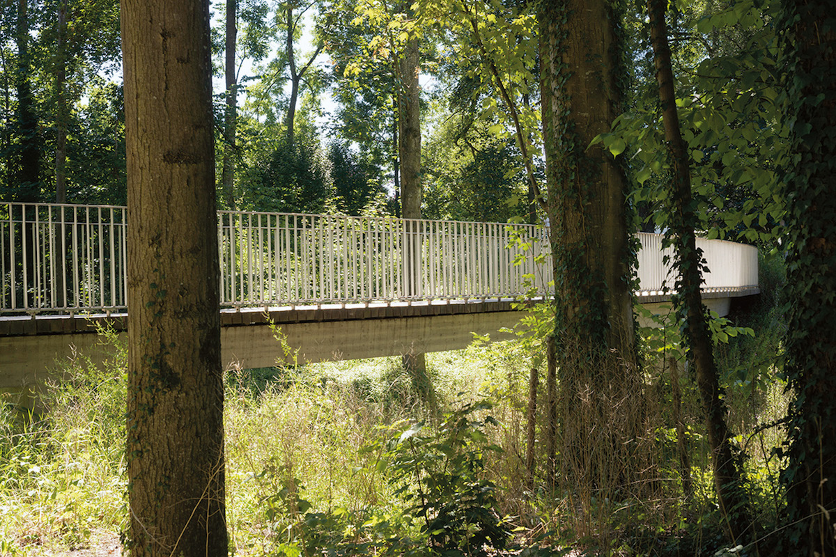 Die neuen, künstlichen Bauteile, wie die Brücken, fügen sich harmonisch zwischen die Bäume.