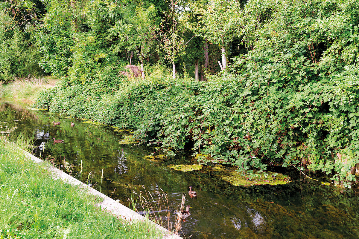 Auch der Mühlewiesenkanal wurde im Zuge des Projekts aufgewertet.