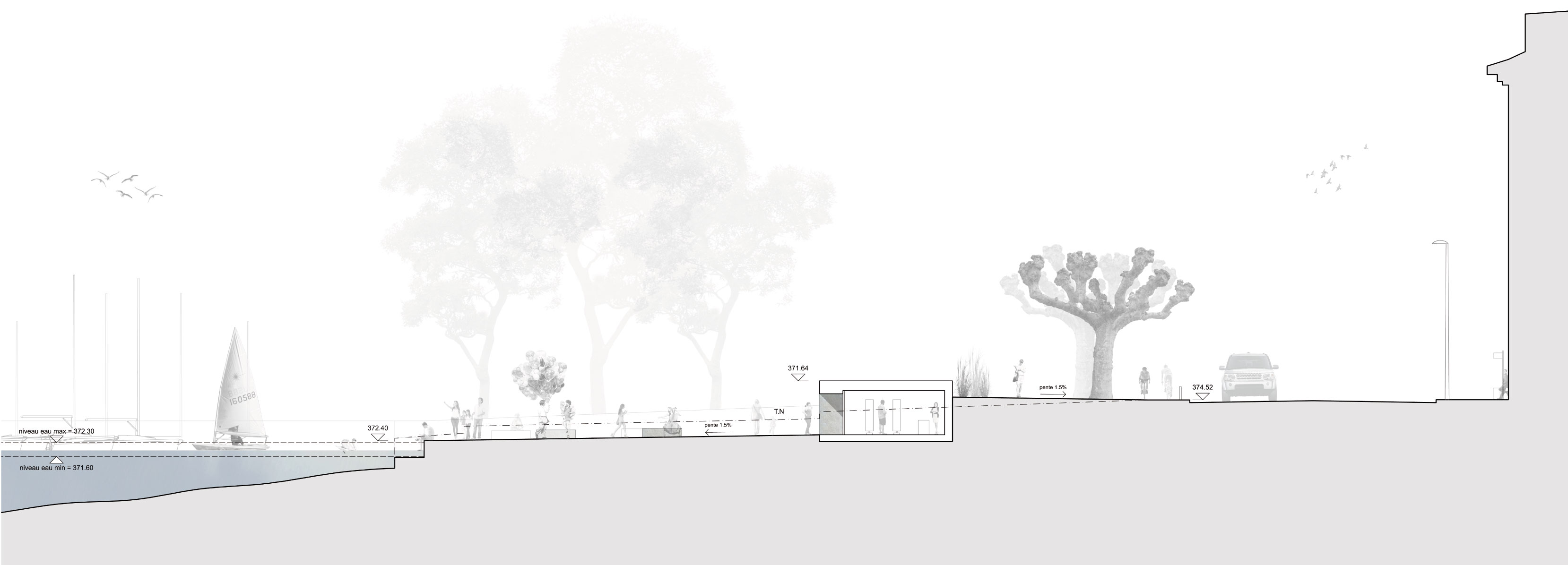 Au ras de l’eau. Coupe du quai Gustave Ador