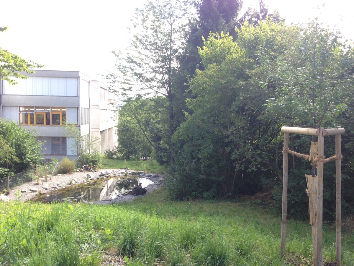 und Zopf weist eine hohe Biodiversität mit einer Vielzahl unterschiedlicher Lebensraumtypen aus.