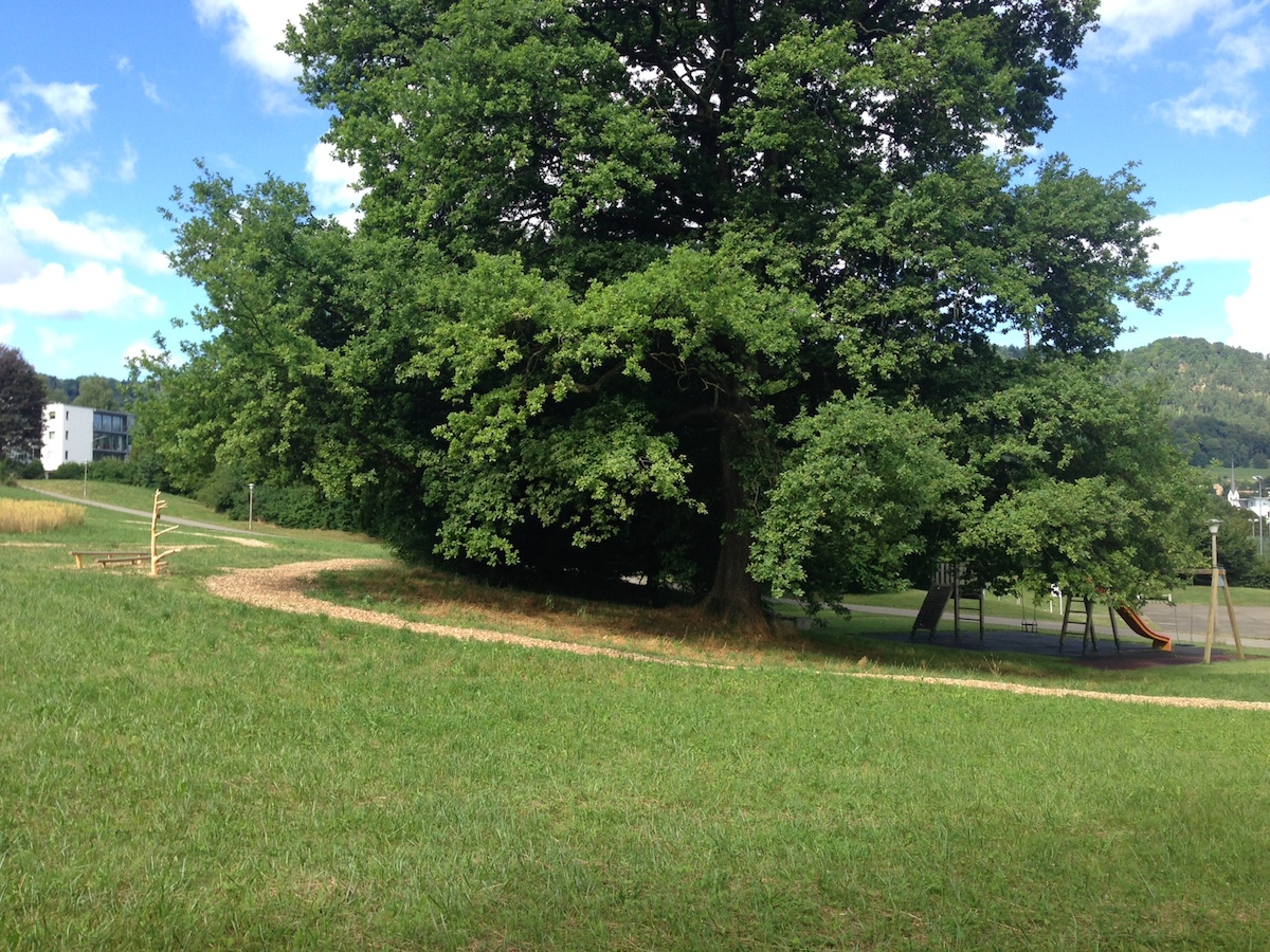 Finnenbahn auf dem Areal Tal.
