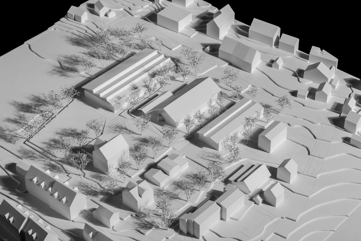 1. Rang / 1. Preis «Riri», Esch Sintzel Architekten.