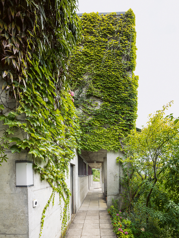 Siedlung Mühlehalde in Umiken, Brugg.