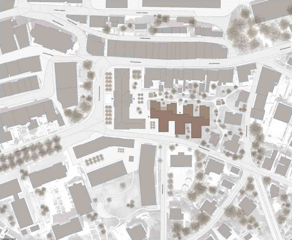 1. Rang «Dino»: Situation