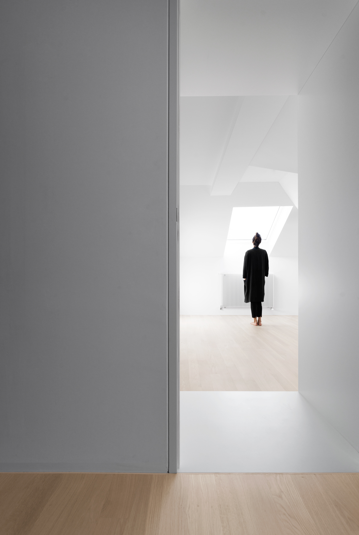 studio inches architettura. Appartamento a Locarno