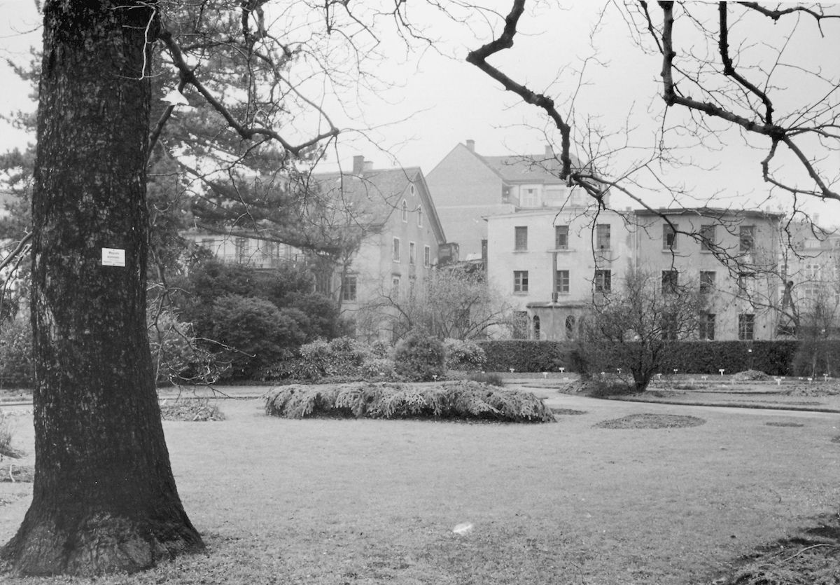 Botanischer Garten, 1945.
