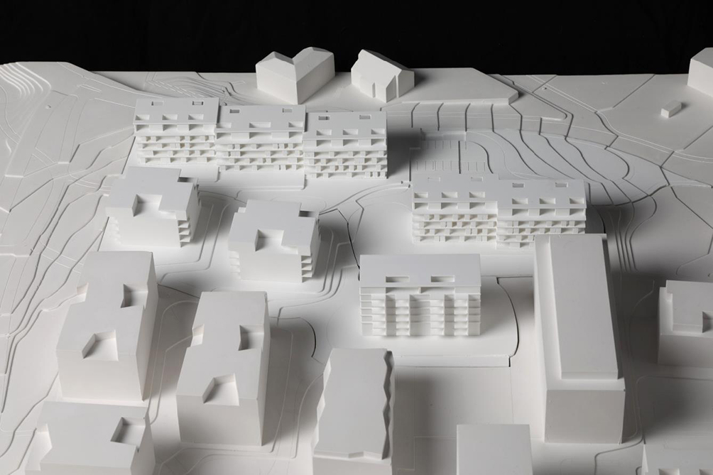 Projekt Nr. 1: «Baumschlager», Scheuner-Mäder Architekten.