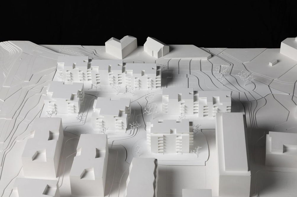 Projekt Nr. 2: «Fünf Freunde», TGS Architekten.