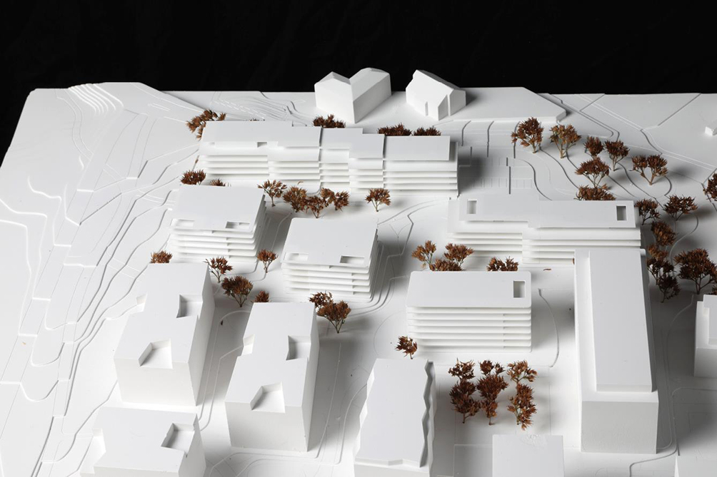 Projekt Nr. 3: «Lignator», Lengacher Emmenegger Partner.