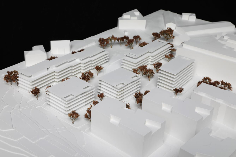 Projekt Nr. 3: «Lignator», Lengacher Emmenegger Partner.