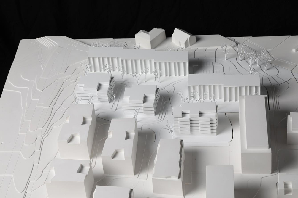 Projekt Nr. 7: «Wood y Allen», ro.ma.roeoesli &amp; maeder, Luzern.