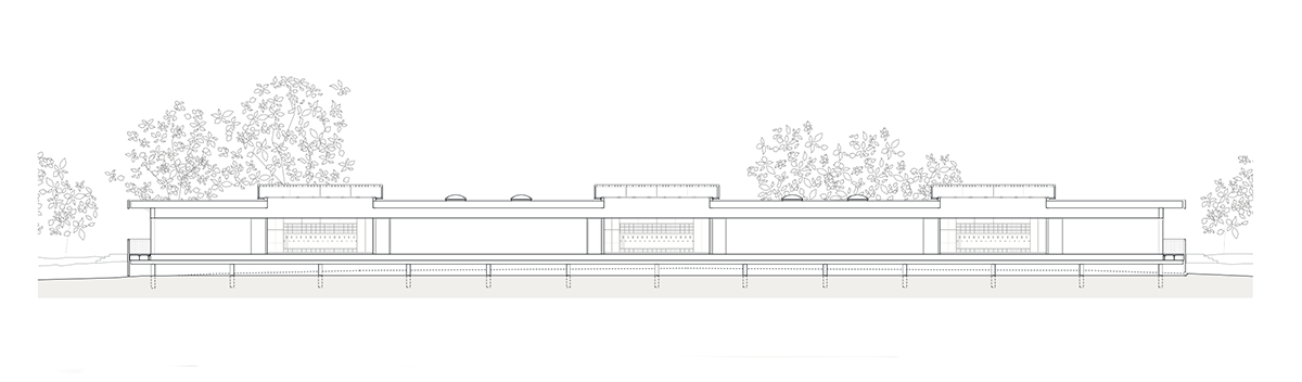Längsschnitt mit Oberlichtern.