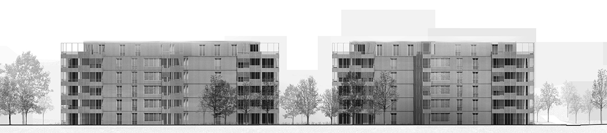 2. Rang: «Kipos», von Michael Meier und Marius Hug Architekten mit Müller Illien Landschaftsarchitekten, Ansicht Tannenrauchstrasse.