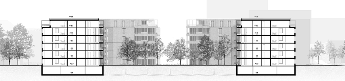 2. Rang: «Kipos», von Michael Meier und Marius Hug Architekten mit Müller Illien Landschaftsarchitekten, Querschnitt.