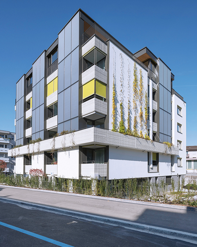 Schweizer Solarpreis 2017: Sanierung MFH, Zürich. (Mehr zum Objekt im Kasten am Ende des Artikels.)