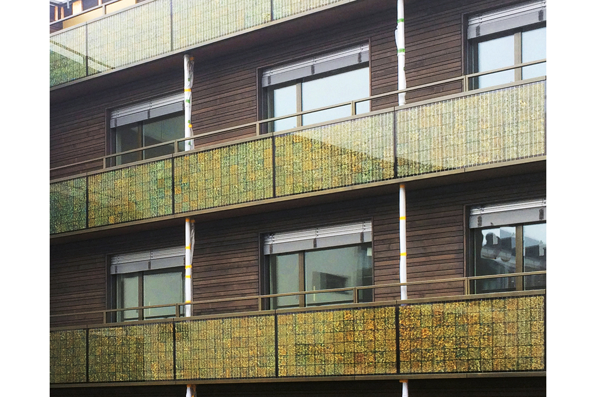 Polykristalline Photovoltaikzellen mit grüngoldbraunem Muster an einem Wohnhaus in Zürich (Kämpfen für Architektur).