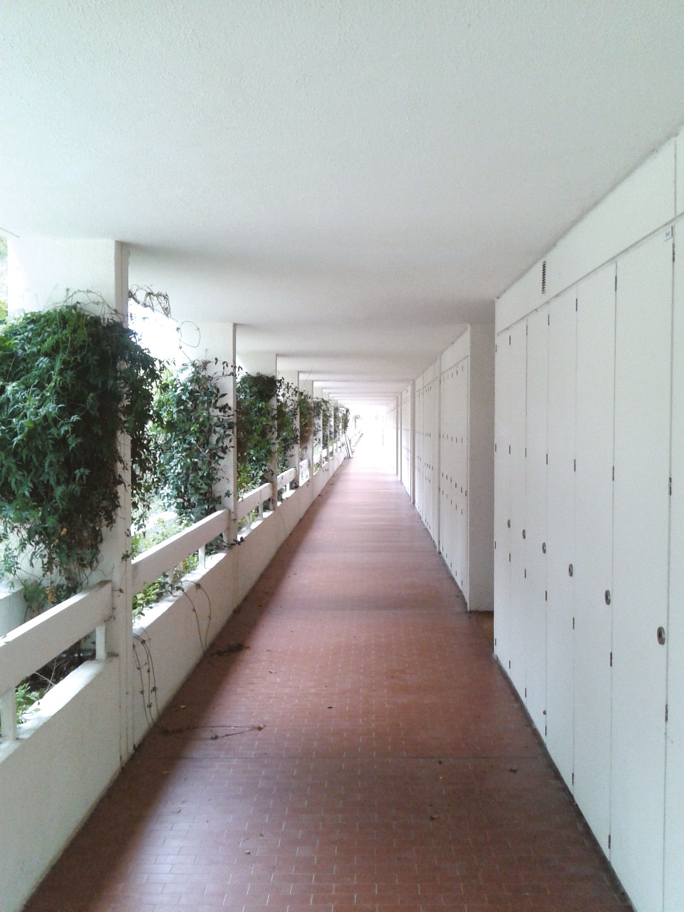 Les coursives de la façade nord, dont chaque niveau est desservi par un escalier planté.