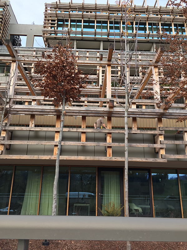 Waldhotel «Healthy Living», 2012–2017, Matteo Thun, Milano