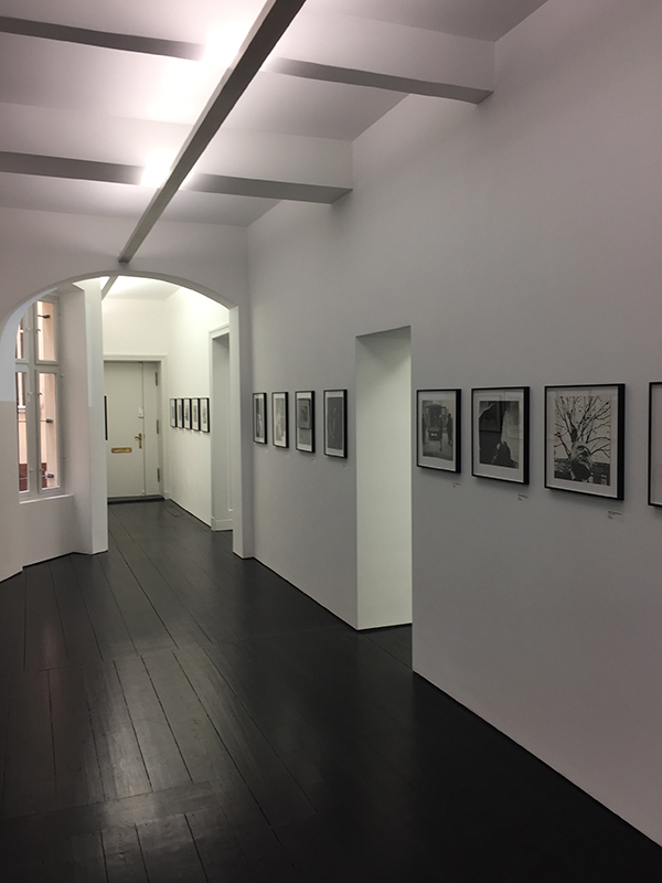 Der Raster der Unterzüge und Leuchten gibt den verspringenden Wänden zum Hof einen optischen Halt.