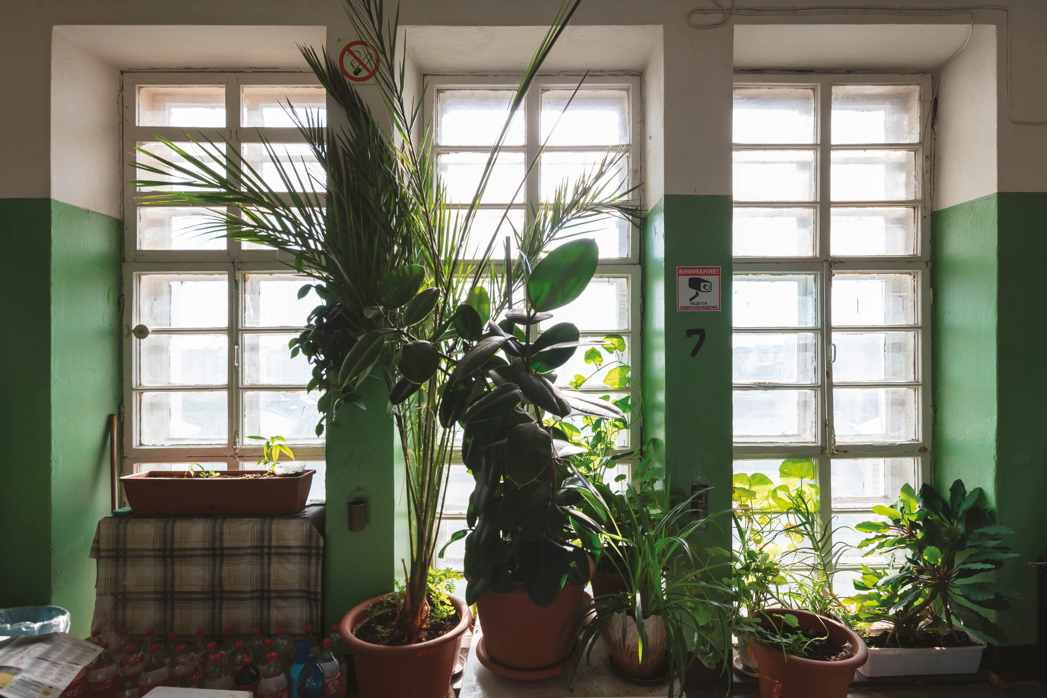 Les vitres d’origine permettent de réguler le climat intérieur. Elles sont progressivement remplacées par les habitants par de grossiers double ­vitrages en plastique.