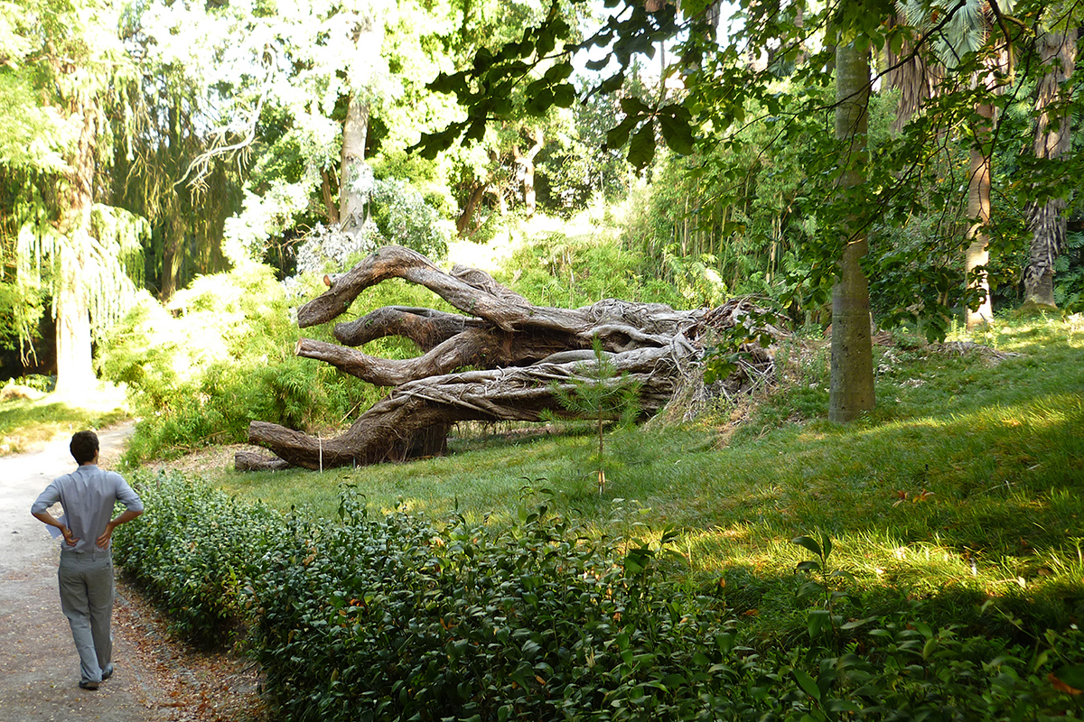 Atelier de Molfetta Strode, «Uma Eira na Clareira»