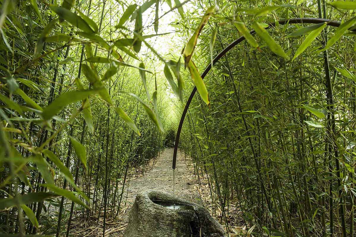 Atelier de Molfetta Strode, «Il Giardino del Tempo»