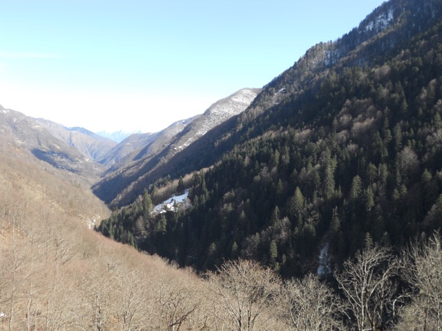 Waldreservat im Onsernonetal. Auf der südexponierten Seite wachsen vor allem Buchen, dort sind auch die Dörfer. Auf der kaum zugänglichen «Schattenseite» befindet sich das Waldreservat mit Weisstannen, Fichten und Buchen.