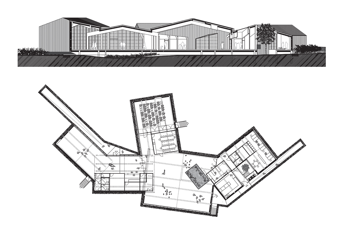Grundriss und Schnitt Insektenmuseum.