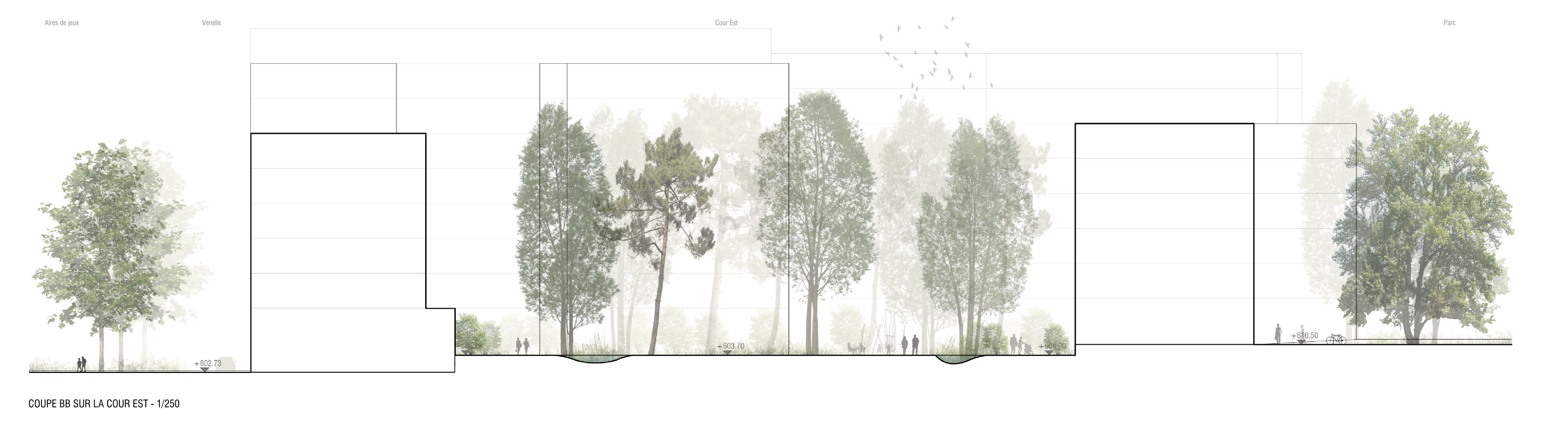 Coupe court est, projet «Dentelle» de Aeby Perneger &amp; Associés + Hüsler &amp; Associés