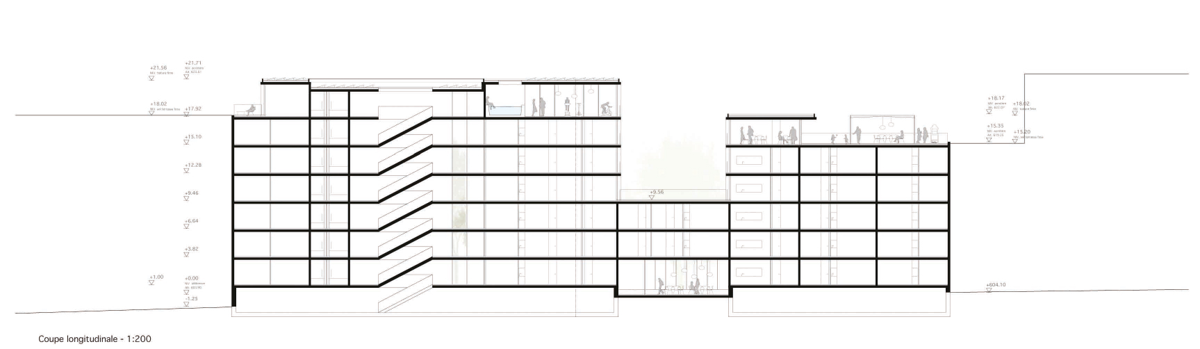 Lot 2 - Coupe longitudinale du projet OAK PARK de L-architectes