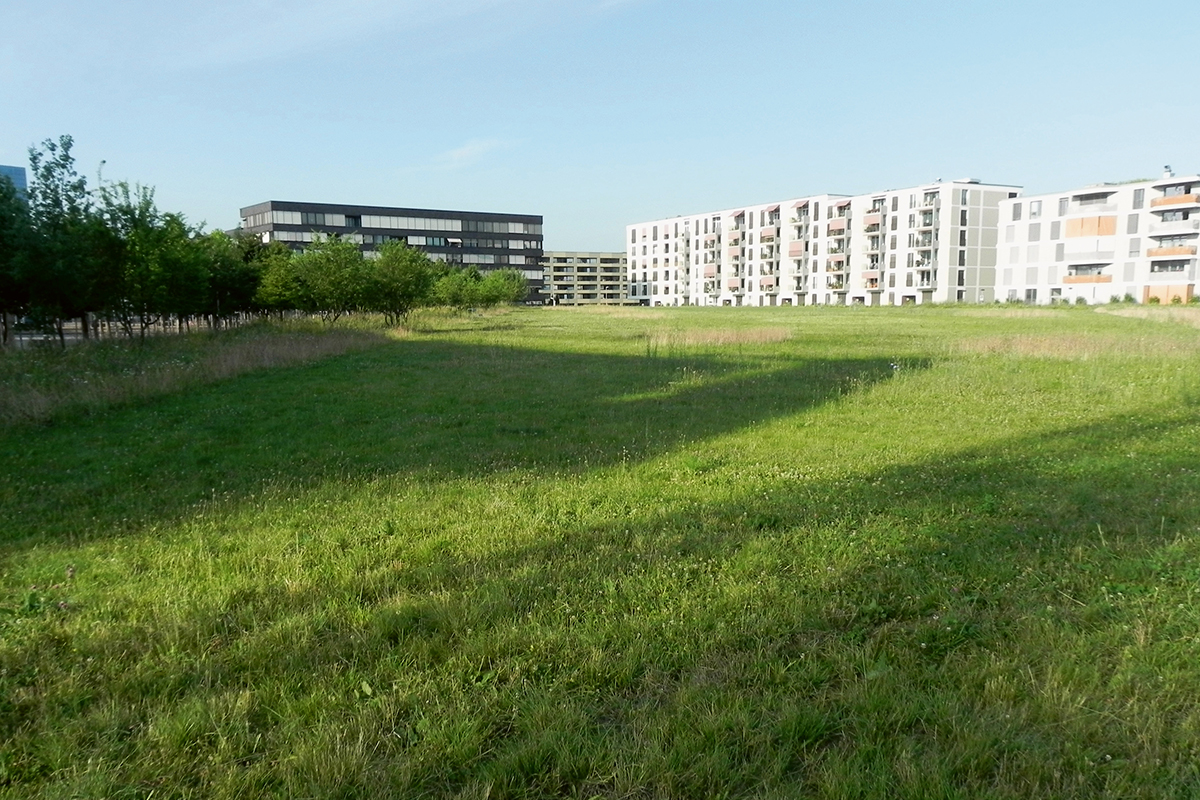 Ansicht des Erlenmattparks mit Blick auf die südliche Hälfte der 8 ha grossen, städtischen Grünanlage.