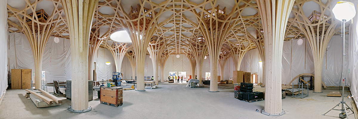 Die Gebetshalle der Cambridge Mosque erinnert mit ihrer baum­artigen Freiformkonstruk­tion an einen Palmenhain.