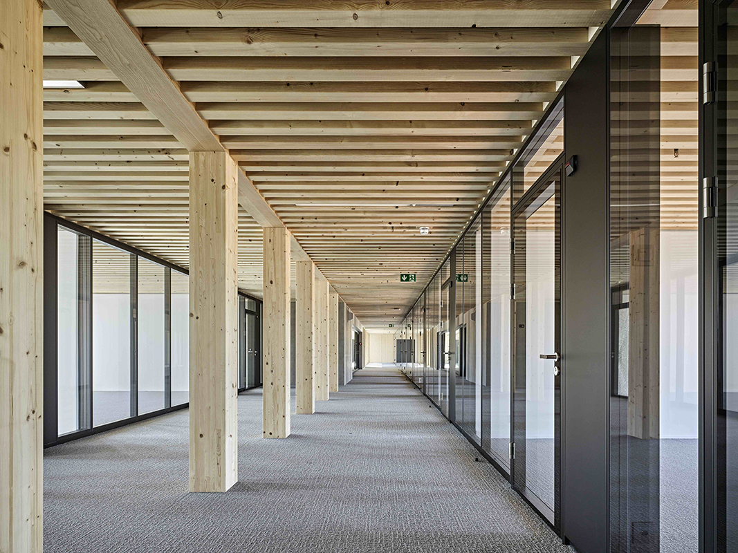 Ein klarer Stützenraster im Achsabstand von 2.10 m, mit Holzstützen von 28 x 28 cm, bildet das Tragwerk für den Neubau der Kantonspolizei (MAD 3) in Granges-Paccot.