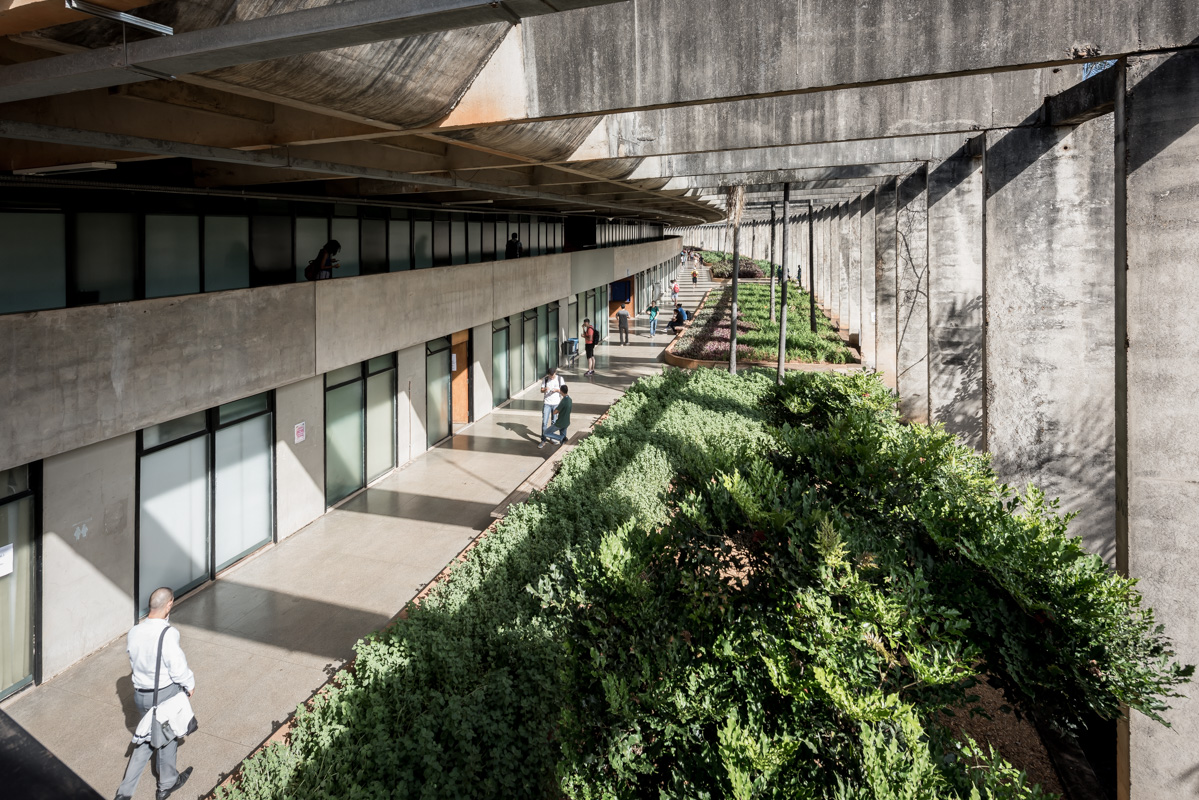 Entlang der Ränder sind Fakultäten, Seminarräume, Hörsäle und alle anderen Funktionen angeordnet. Deren Erschliessung zwingt die Studenten fast dazu, einander zu begegnen und sich auszutauschen.