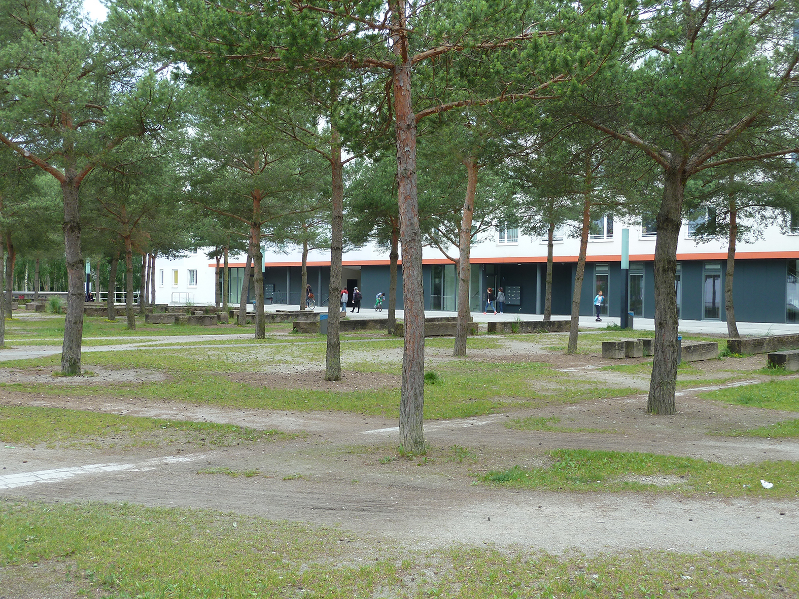 La forêt méditerranéenne à Munich