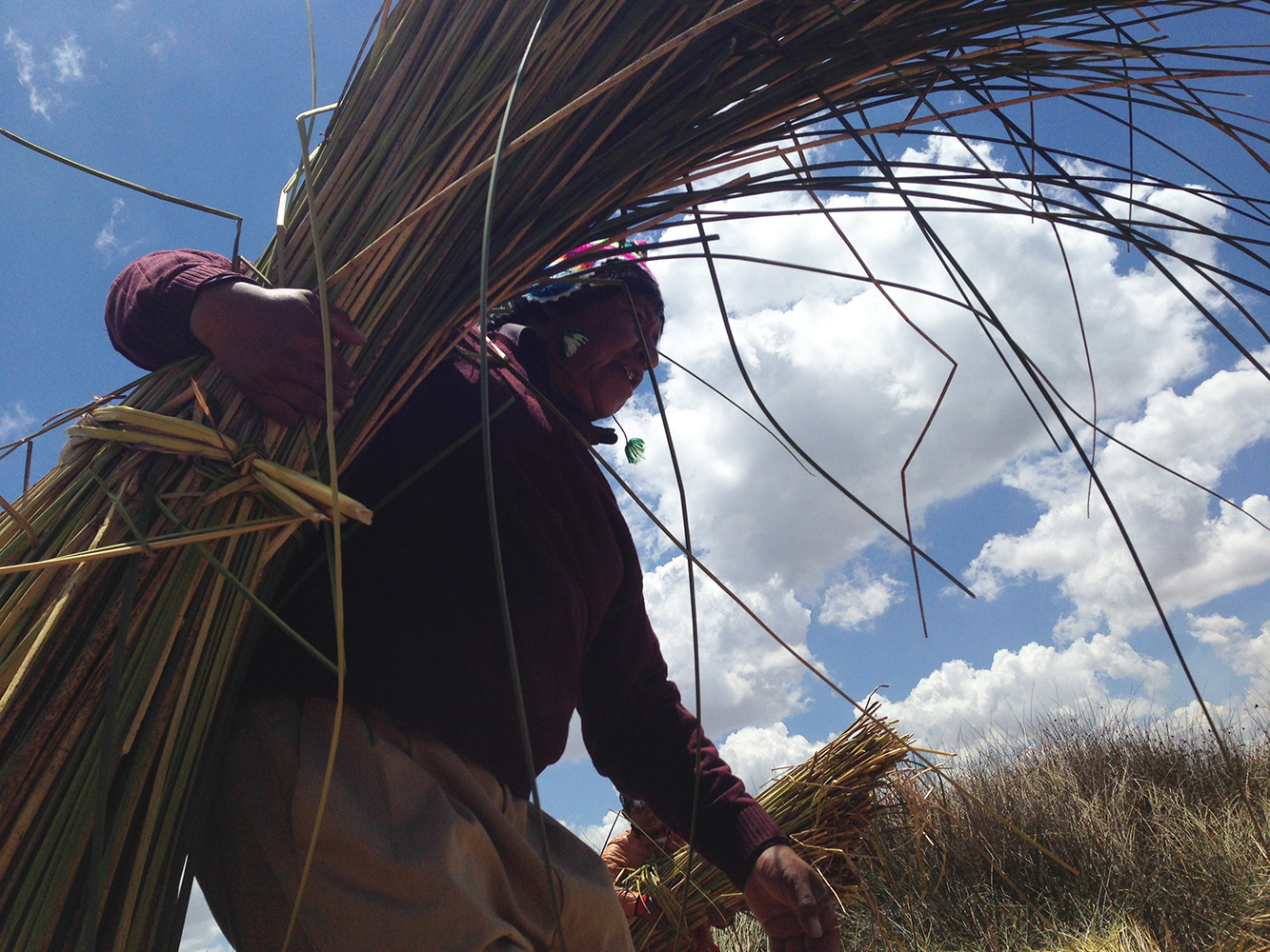 Cristiàn Orellana Terrsy, UMA