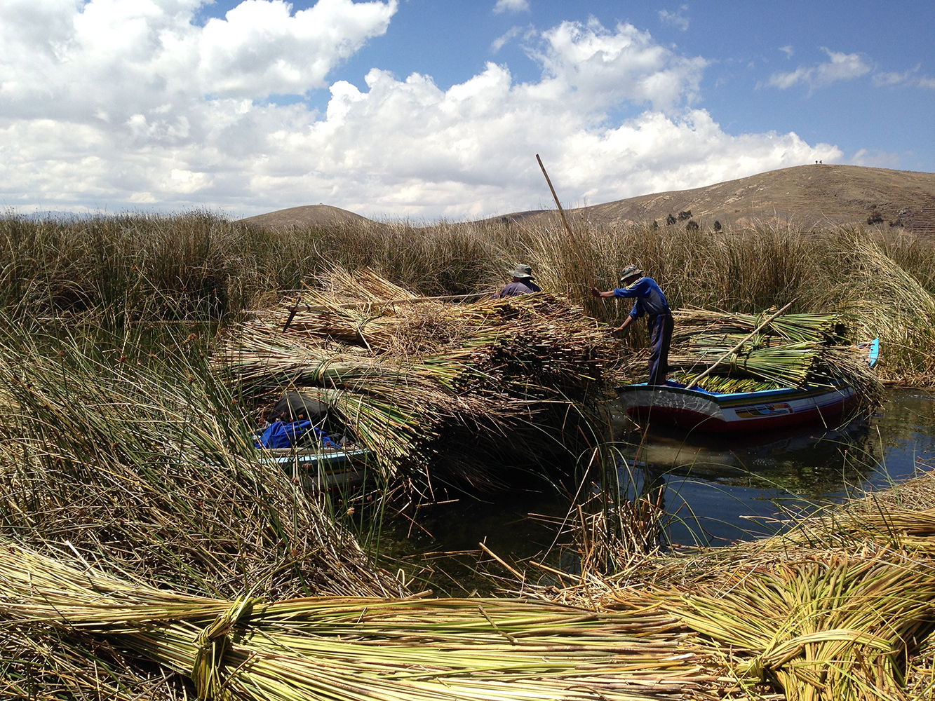 Cristiàn Orellana Terrsy, UMA