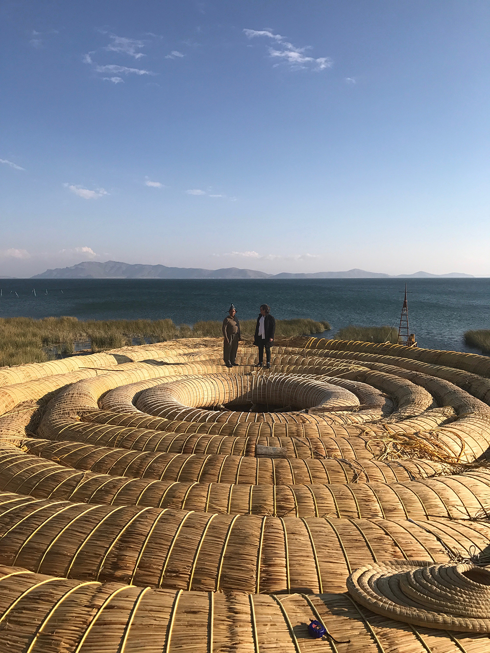 Cristiàn Orellana Terrsy, UMA