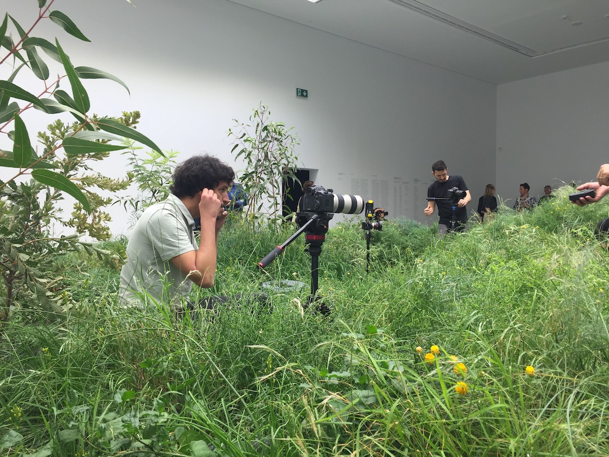 Filmsequenzen von 15 Architekturprojekten bilden den Rahmen um die Pflanzen.