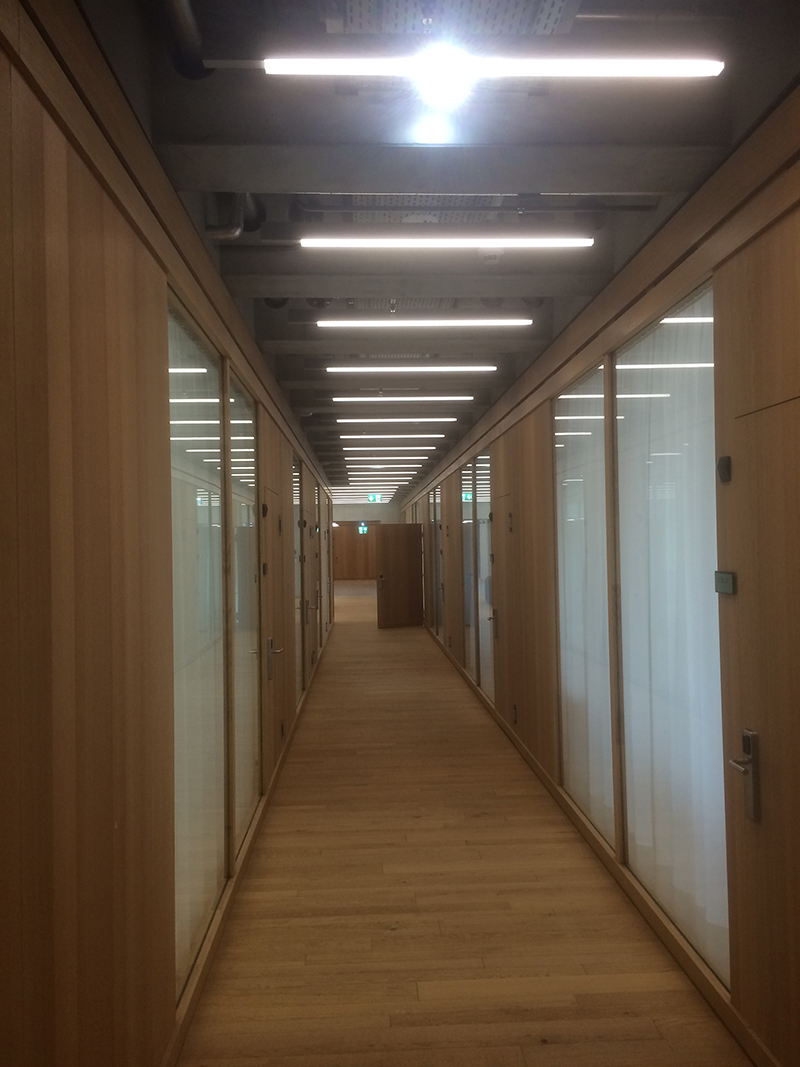 FHNW-Neubau: Blick in einen Gang im oberen Seminarbereich (11. OG).