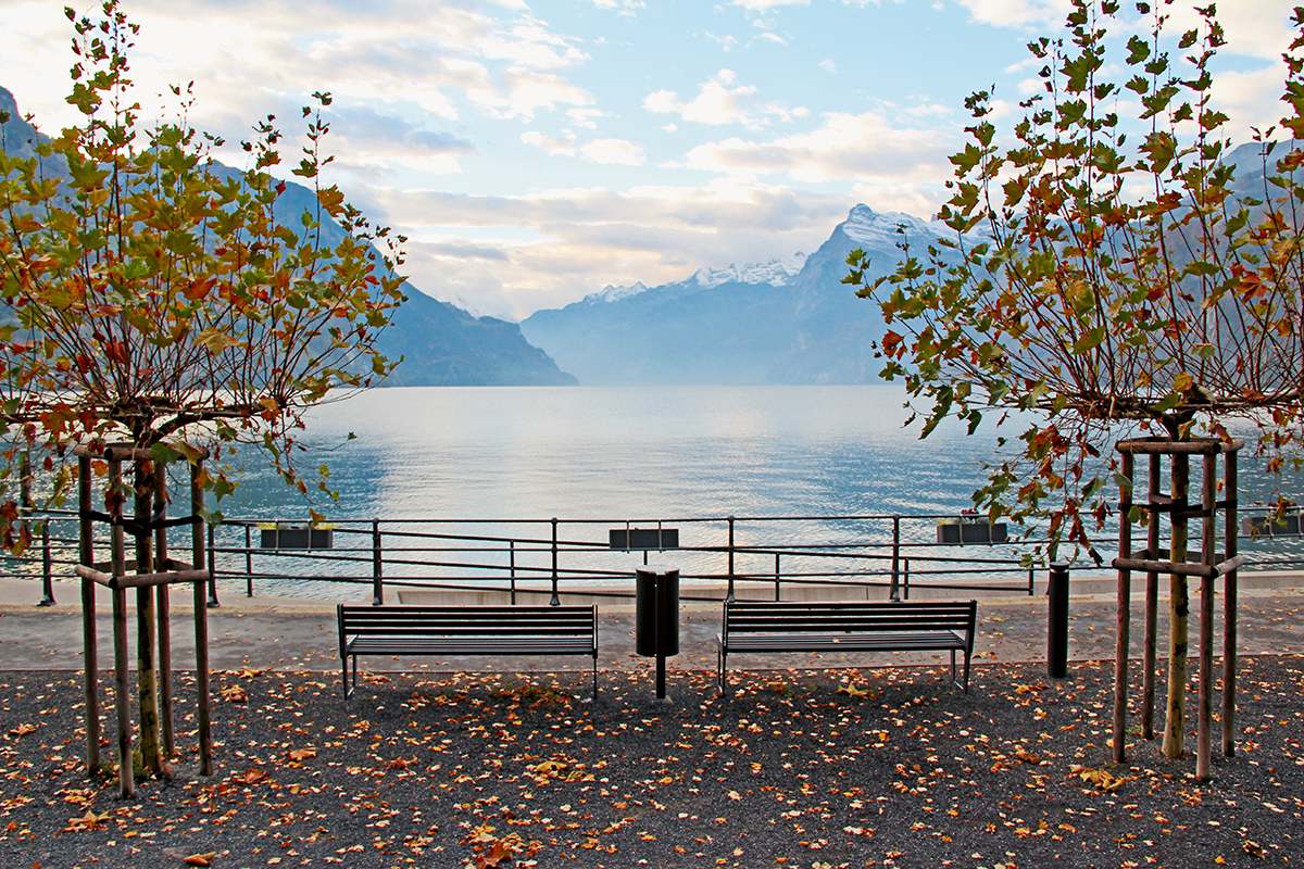 Die Ruhe vor dem Föhnsturm?